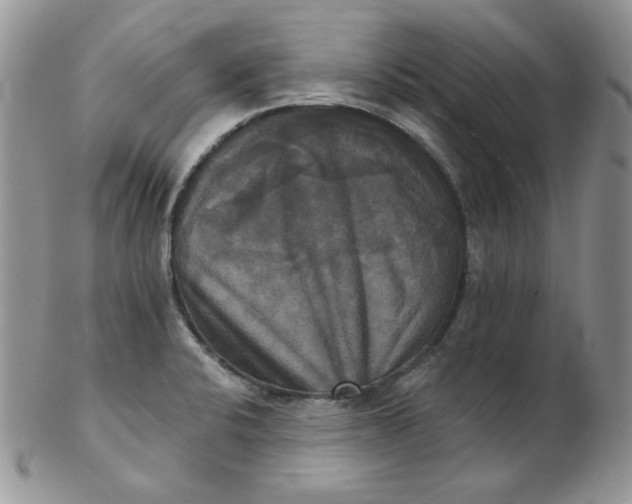 X0000102411424200808221901