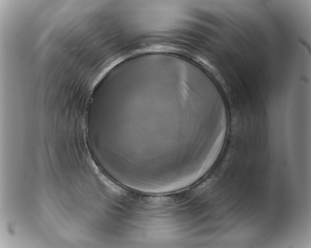 X0000102411425200808221901