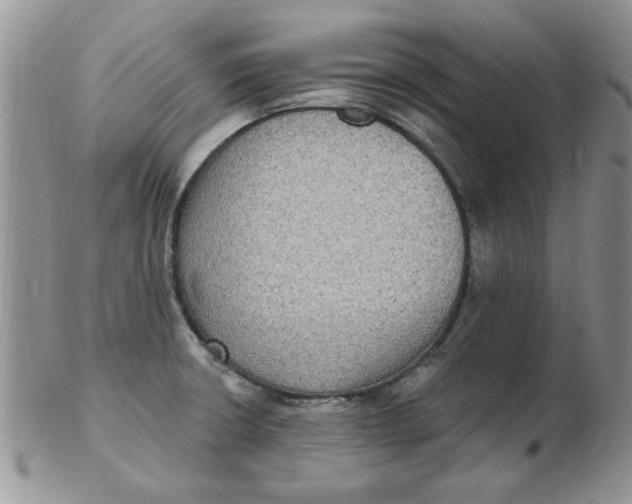 X0000102411426200808221901