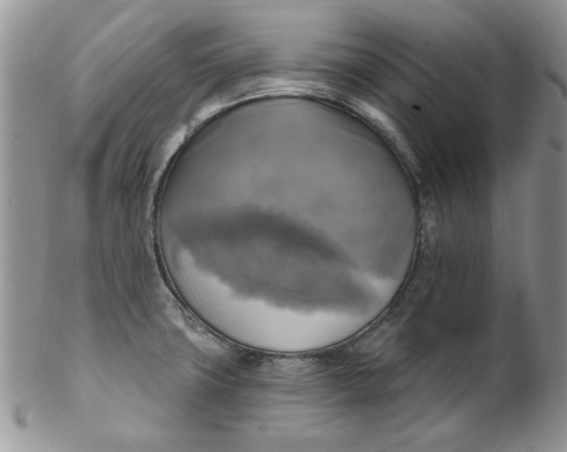 X0000102411427200808221901