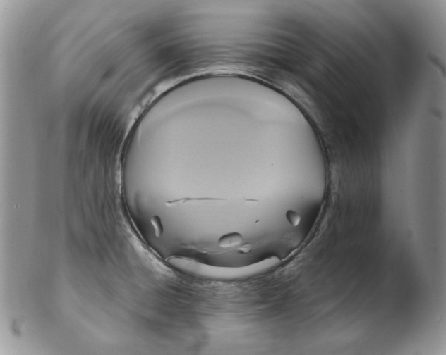 X0000102411428200808221901