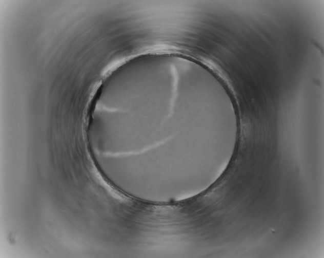 X0000102411429200808221901