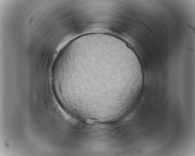 X0000102411430200808221901