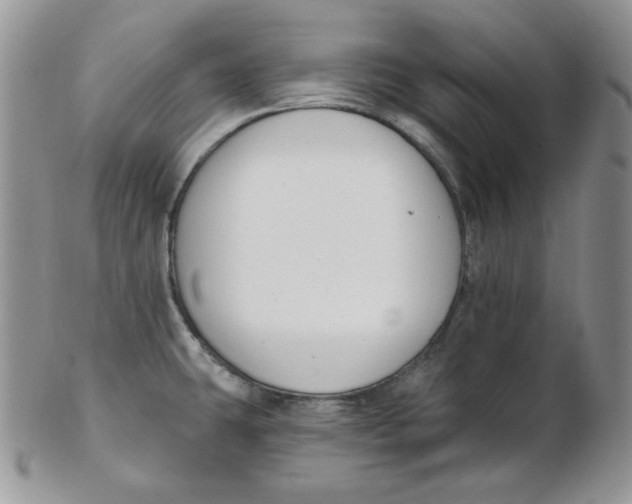 X0000102411431200808221901