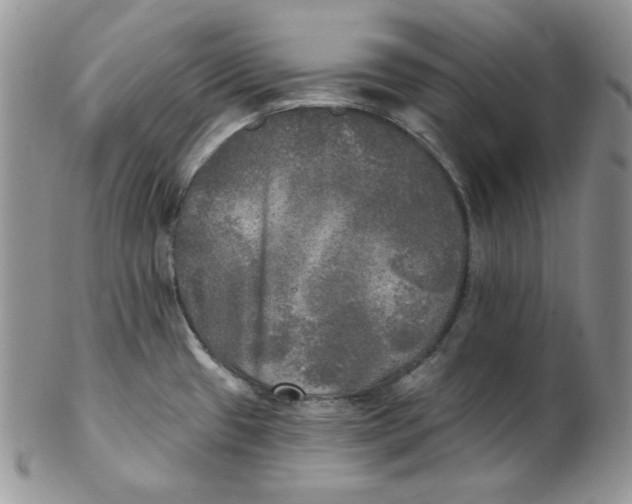 X0000102411433200808221901