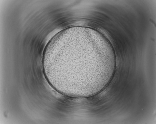 X0000102411434200808221901