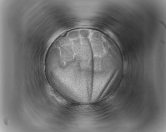 X0000102411435200808221901