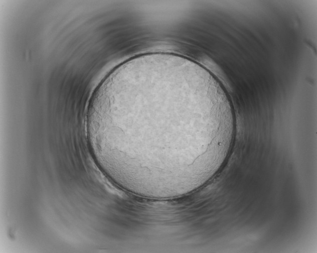 X0000102411436200808221901