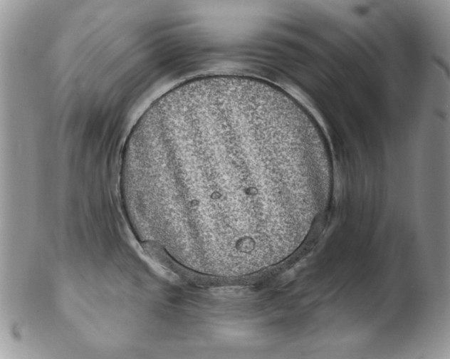 X0000102411437200808221901