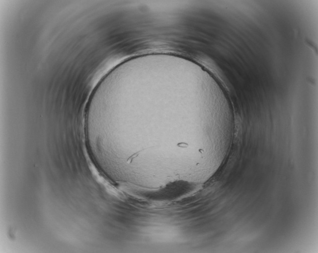 X0000102411439200808221901