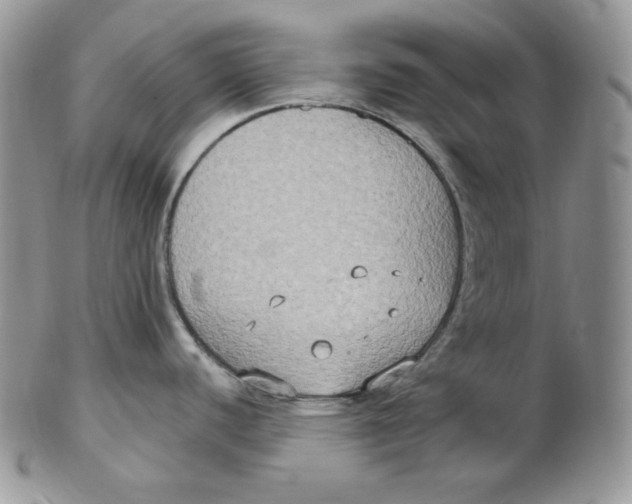 X0000102411440200808221901