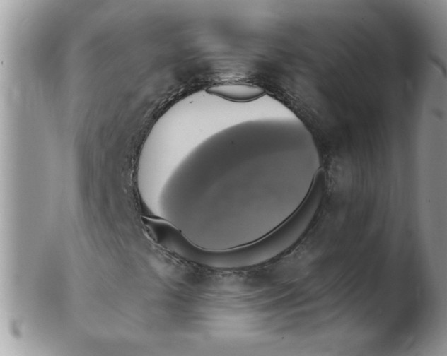 X0000102411441200808221900