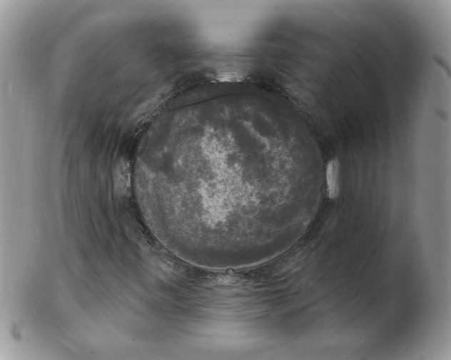 X0000102411443200808221900