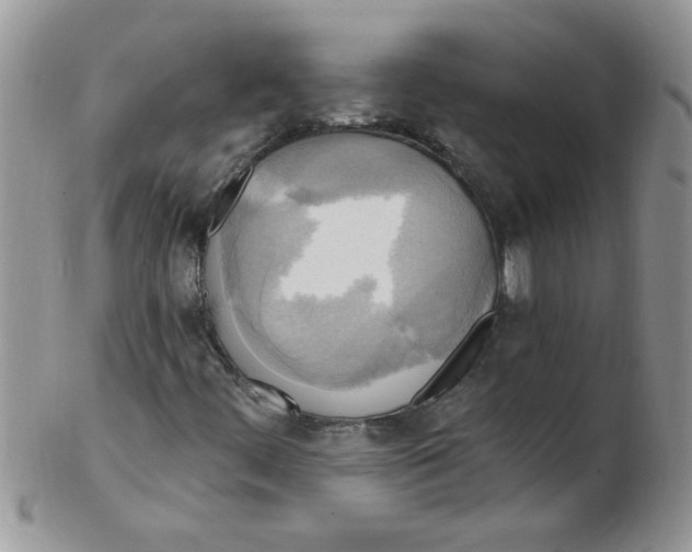 X0000102411444200808221900