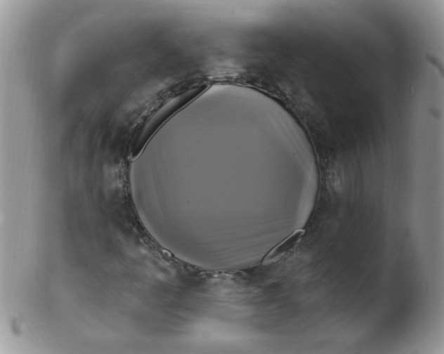 X0000102411445200808221900