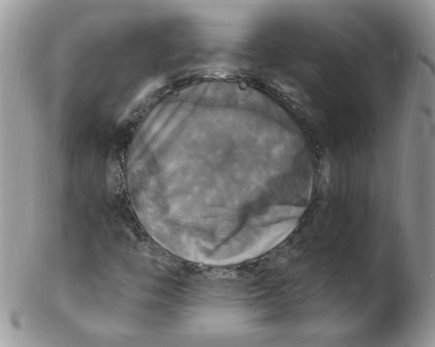 X0000102411446200808221900