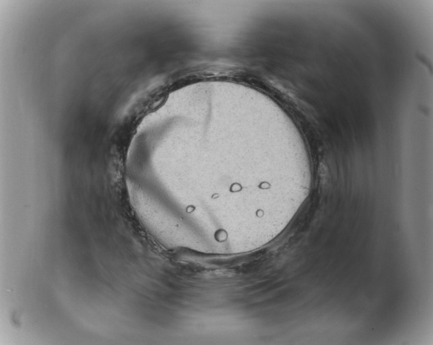 X0000102411447200808221900