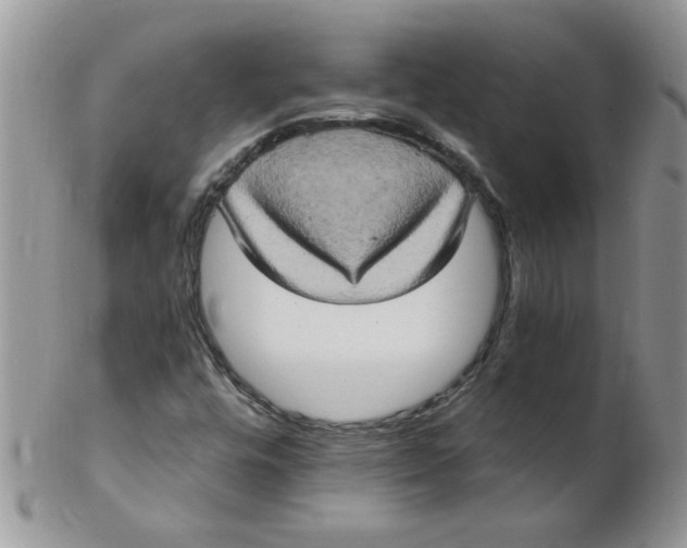 X0000102411448200808221900