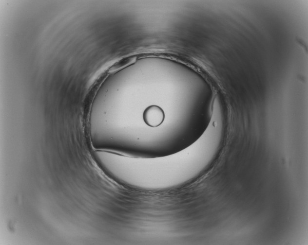 X0000102411452200808221900