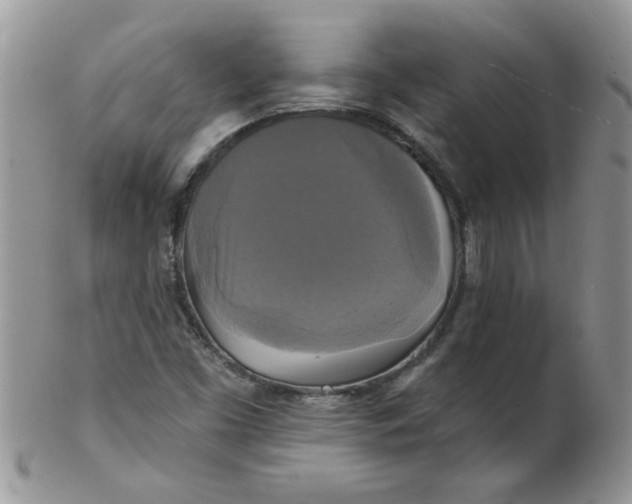 X0000102411453200808221900