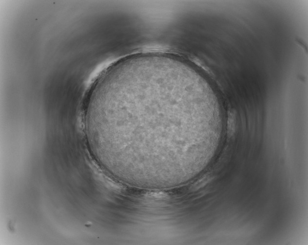 X0000102411454200808221900