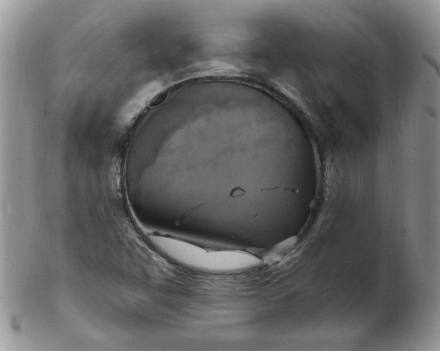 X0000102411455200808221900