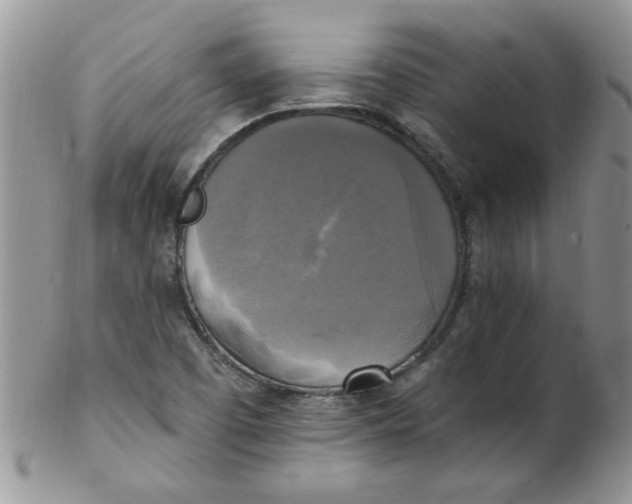 X0000102411457200808221900