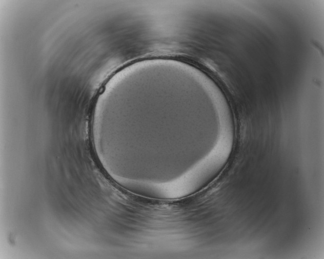 X0000102411459200808221900