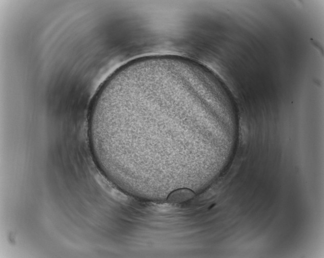 X0000102411460200808221900