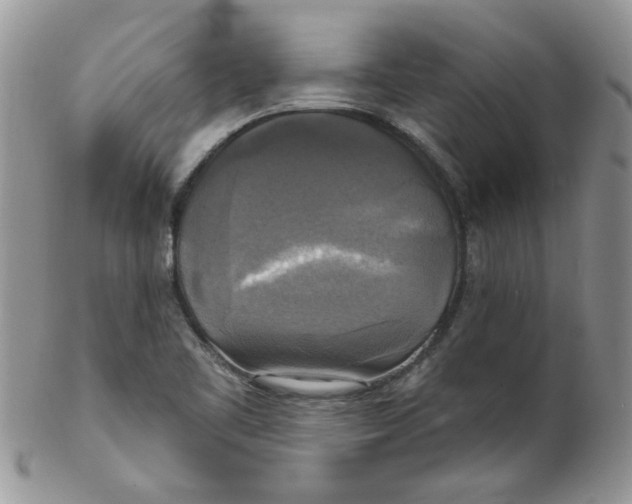 X0000102411461200808221900