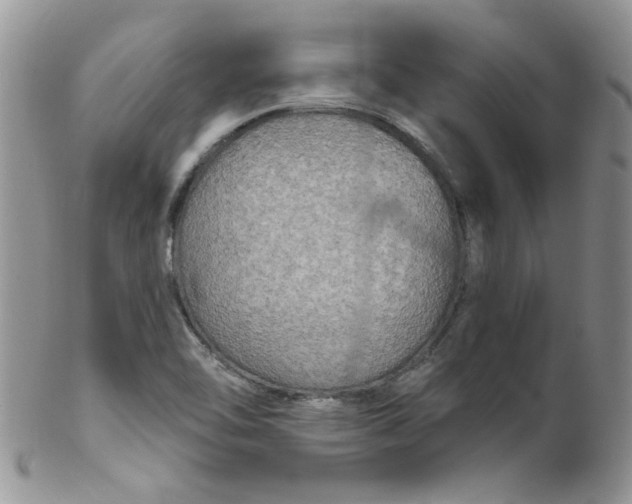 X0000102411462200808221900