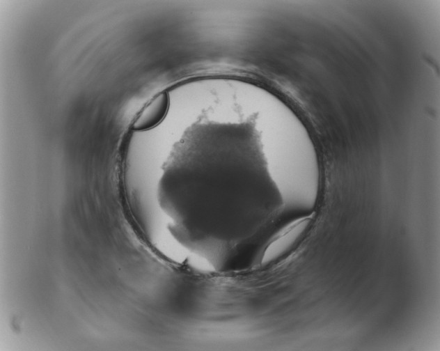 X0000102411463200808221900