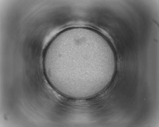 X0000102411464200808221900