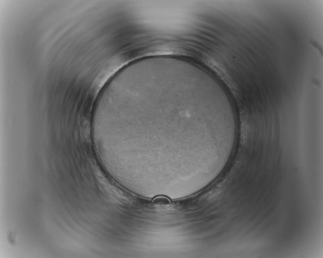 X0000102411465200808221900