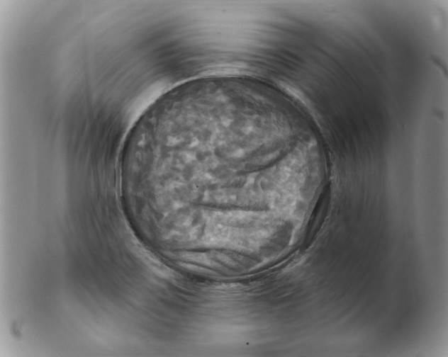 X0000102411467200808221900