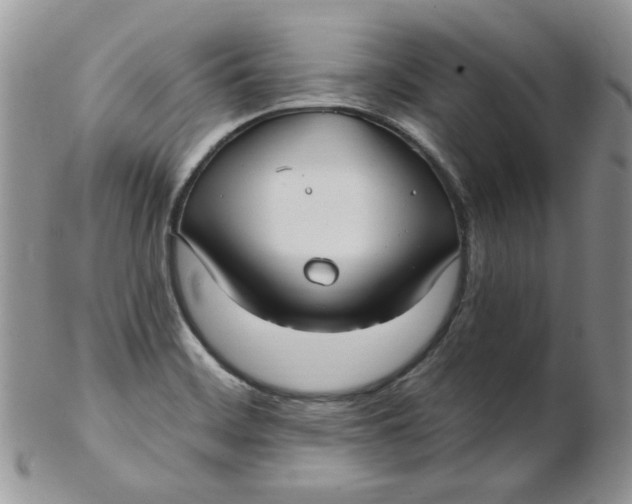 X0000102411468200808221900