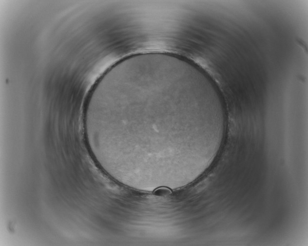 X0000102411469200808221900