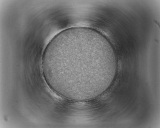 X0000102411470200808221900