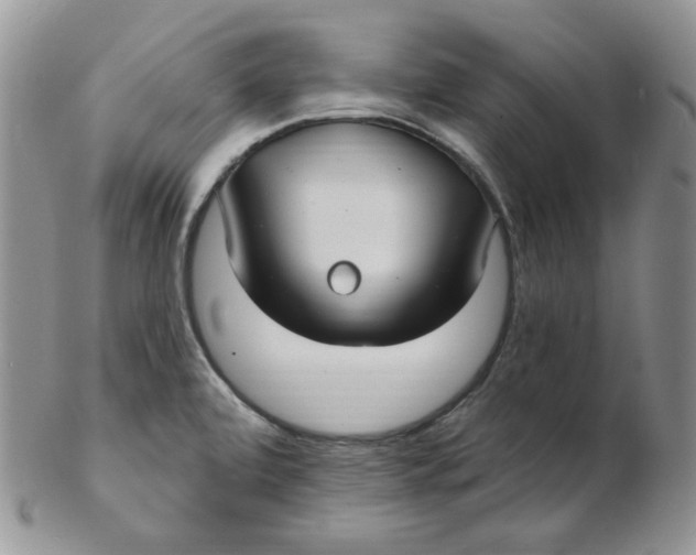 X0000102411472200808221900