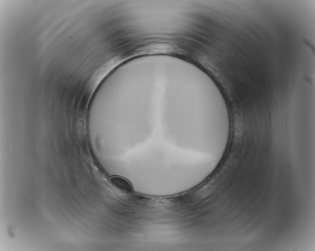 X0000102411473200808221900