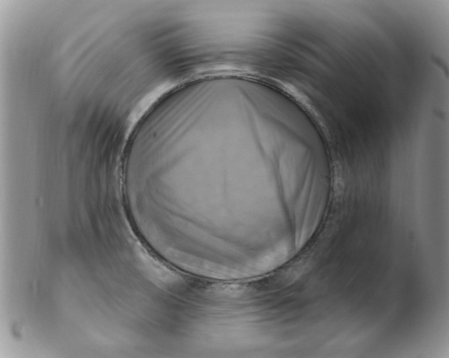 X0000102411474200808221900