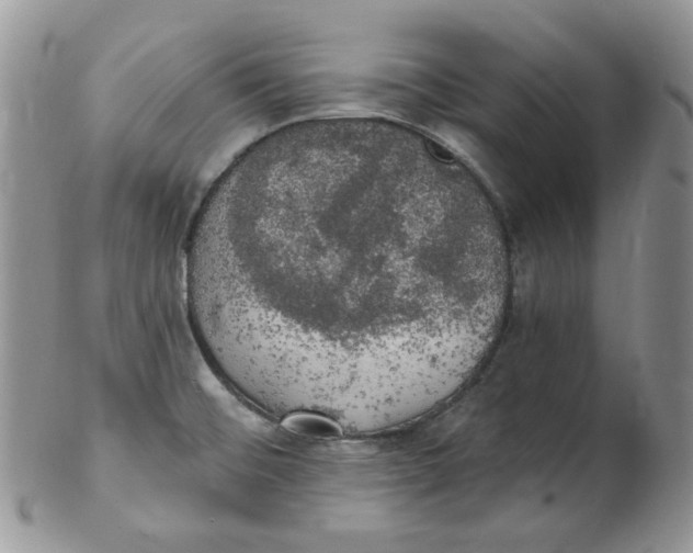 X0000102411476200808221900