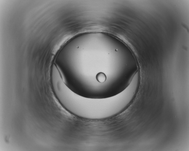 X0000102411477200808221900