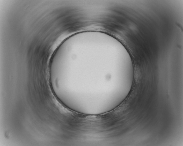 X0000102411478200808221900