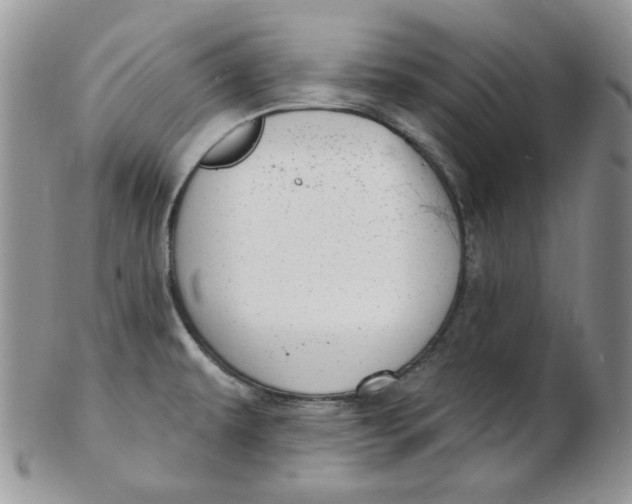 X0000102411479200808221900