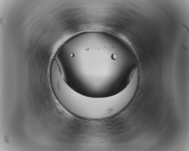 X0000102411480200808221900