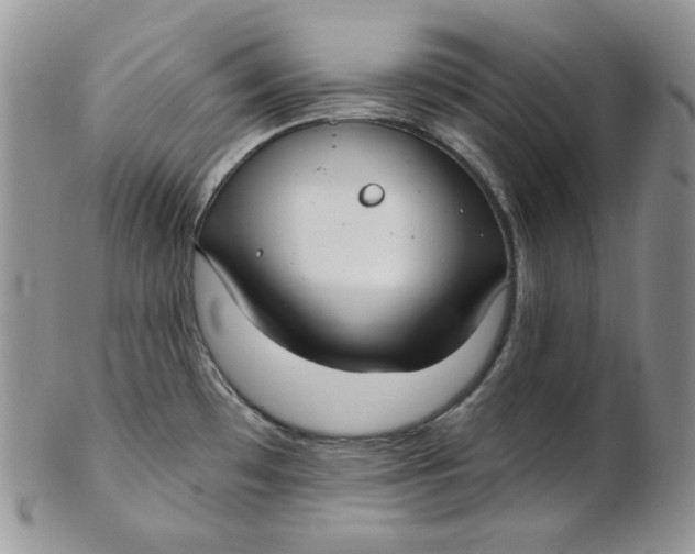 X0000102411481200808221900