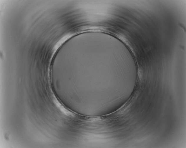 X0000102411482200808221900