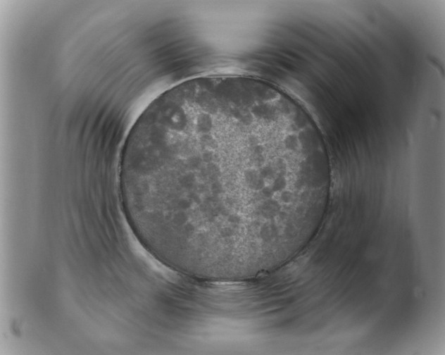 X0000102411483200808221900