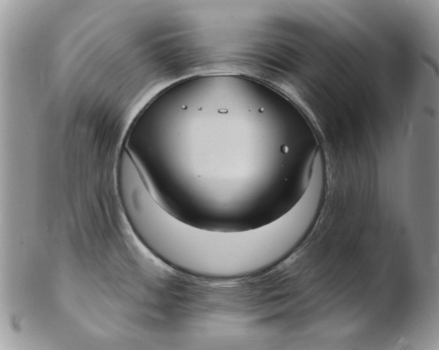 X0000102411484200808221900